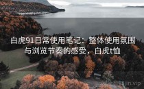 白虎91日常使用笔记：整体使用氛围与浏览节奏的感受，白虎t恤