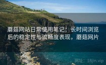 蘑菇网站日常使用笔记：长时间浏览后的稳定性与流畅度表现，蘑菇网片