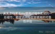 天美密桃果冻mv使用过程中发现的一些细节：稳定访问与日常使用的可靠性评估