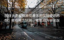 围绕天美蜜桃麻花果冻的实际使用感想：哪些地方好用，哪些地方容易踩坑