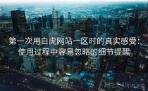 第一次用白虎网站一区时的真实感受：使用过程中容易忽略的细节提醒