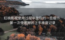<strong>红桃影视</strong>使用过程中发现的一些细节：第一次使用时的上手难度记录