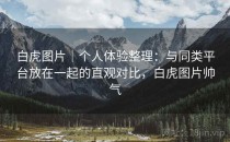 白虎图片｜个人体验整理：与同类平台放在一起的直观对比，白虎图片帅气