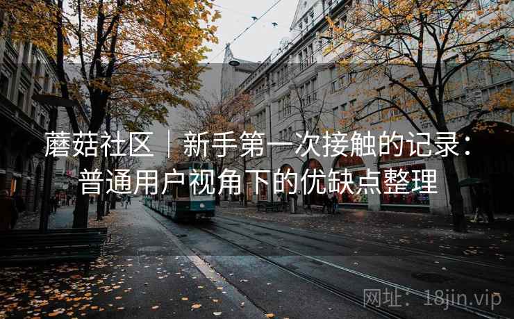 蘑菇社区｜新手第一次接触的记录：普通用户视角下的优缺点整理  第2张
