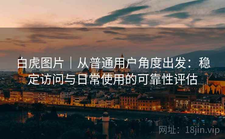 白虎图片｜从普通用户角度出发：稳定访问与日常使用的可靠性评估  第2张