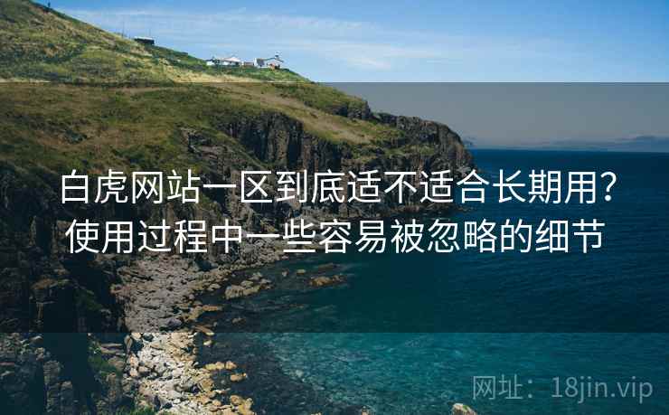 白虎网站一区到底适不适合长期用？使用过程中一些容易被忽略的细节  第2张
