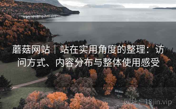 蘑菇网站｜站在实用角度的整理：访问方式、内容分布与整体使用感受  第2张