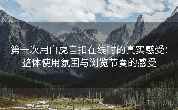 第一次用白虎自扣在线时的真实感受：整体使用氛围与浏览节奏的感受  第1张