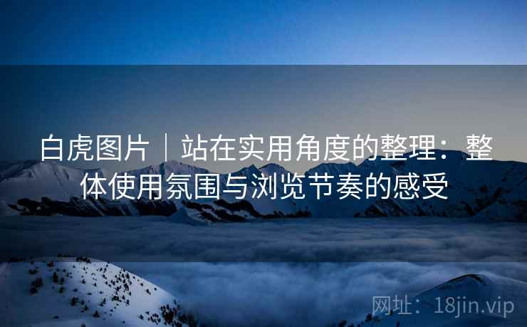 白虎图片｜站在实用角度的整理：整体使用氛围与浏览节奏的感受  第2张