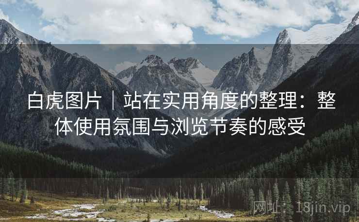 白虎图片｜站在实用角度的整理：整体使用氛围与浏览节奏的感受  第1张