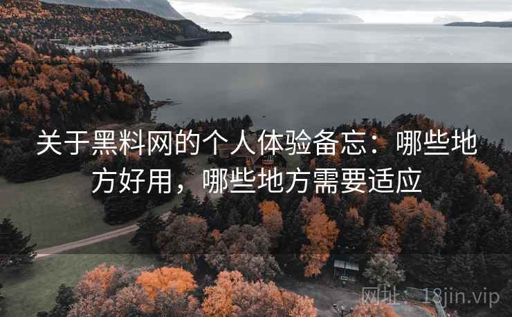 关于黑料网的个人体验备忘：哪些地方好用，哪些地方需要适应  第1张