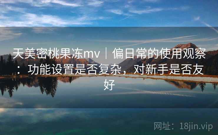 天美密桃果冻mv｜偏日常的使用观察：功能设置是否复杂，对新手是否友好  第2张