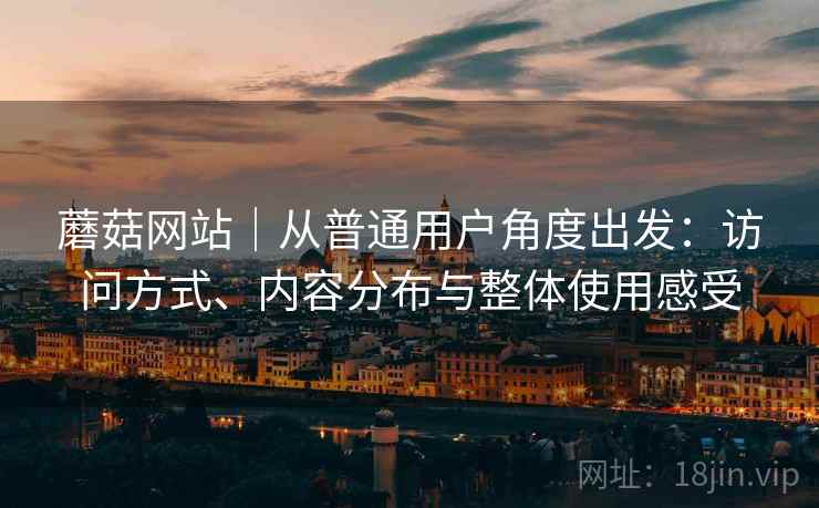 蘑菇网站｜从普通用户角度出发：访问方式、内容分布与整体使用感受  第2张