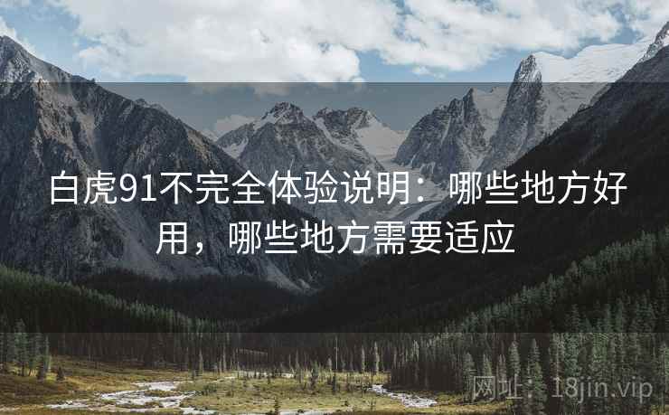 白虎91不完全体验说明：哪些地方好用，哪些地方需要适应  第2张