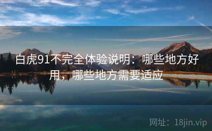 白虎91不完全体验说明：哪些地方好用，哪些地方需要适应  第1张