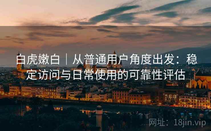 白虎嫩白｜从普通用户角度出发：稳定访问与日常使用的可靠性评估  第2张