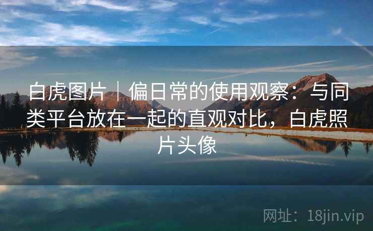 白虎图片|偏日常的使用观察:与同类平台放在一起的直观对比,白虎照片头像 第2张 白虎图片|偏日常的使用观察:与同类平台放在一起的直观对比,白虎照片头像 第2张